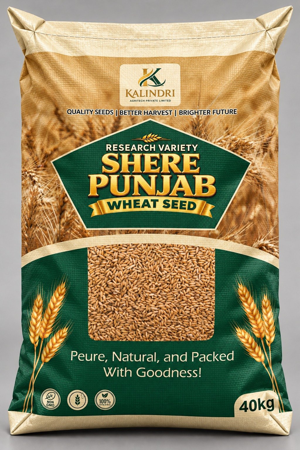 Shere Punjab