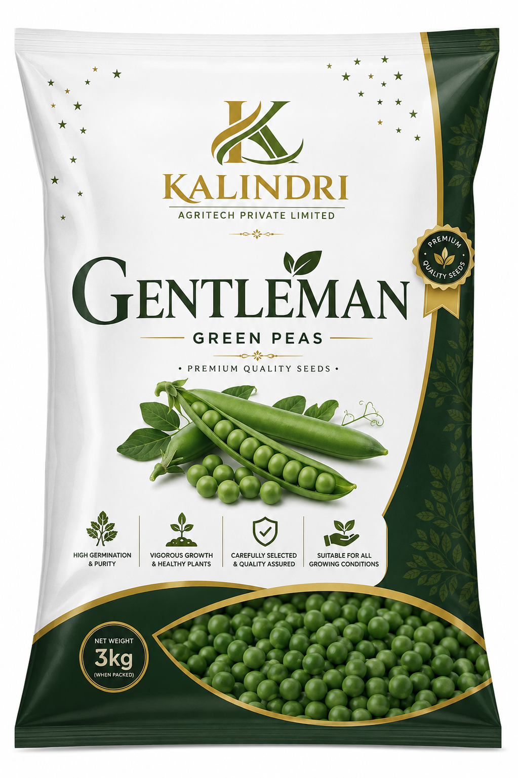 GENTLEMAN